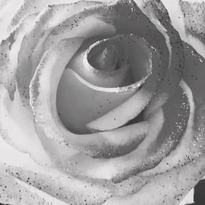 Meet your Posher, Jackeyy